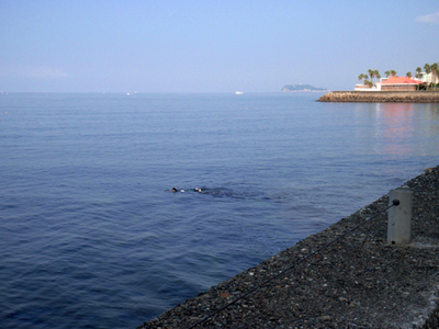朝7時過ぎの逗子・小坪　遠くに見えるのが江ノ島です